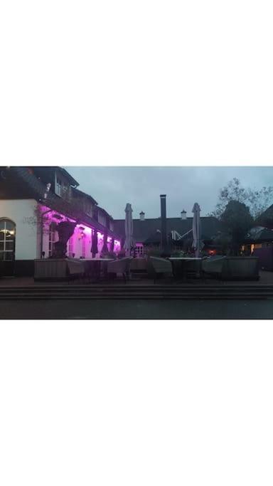 Luxus Chalet Im Schoenen Recratiepark De Veerstal Rheden Kültér fotó